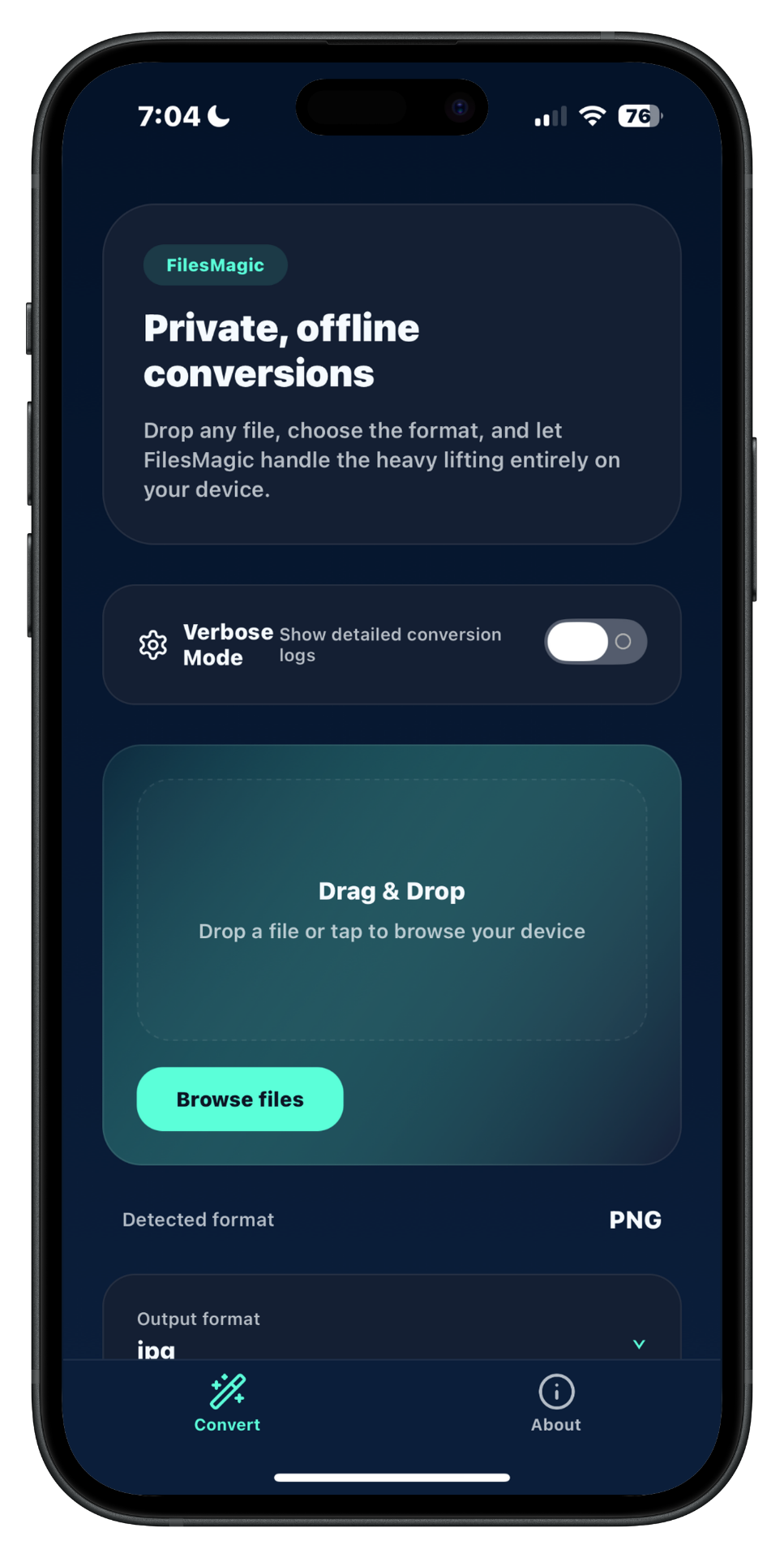 Earlier FilesMagic iPhone build: conversion screen with file selection, detected format, and output format